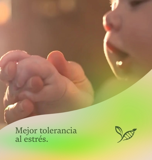 Bienestar y manejo del estrés desde la genética y el estilo de vida en SANA